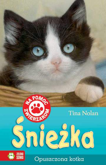 Śnieżka. Opuszczona kotka