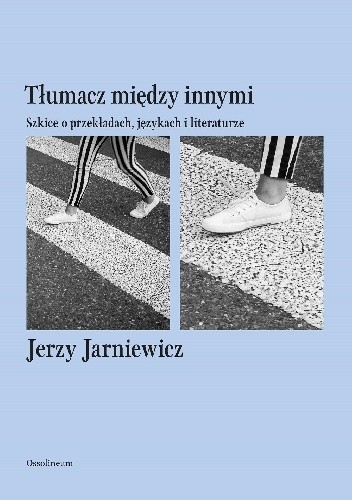 Tłumacz między innymi. Szkice o przekładach, językach i literaturze
