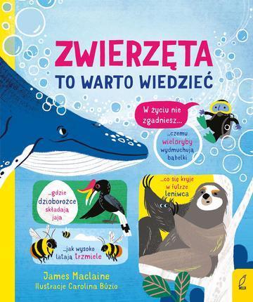 Zwierzęta. To warto wiedzieć