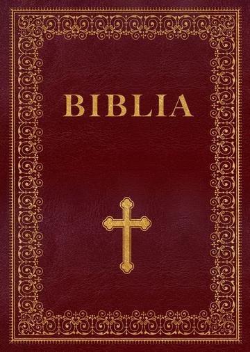 Okładka: Biblia edukacyjna