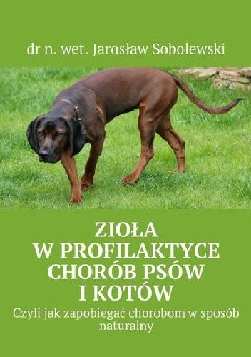Zioła w profilaktyce chorób psów i kotów