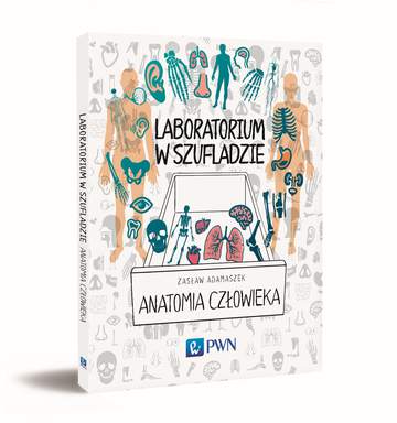 Anatomia człowieka laboratorium w szufladzie