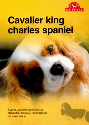 Cavalier king charles spaniel pies na medal wyd. 2011