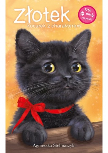 Kto mnie przytuli? Złotek kocurek z charakterem