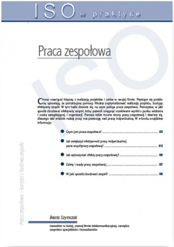 Praca zespołowa - tworzenie, formy działania, korzyści i budowa zespołu