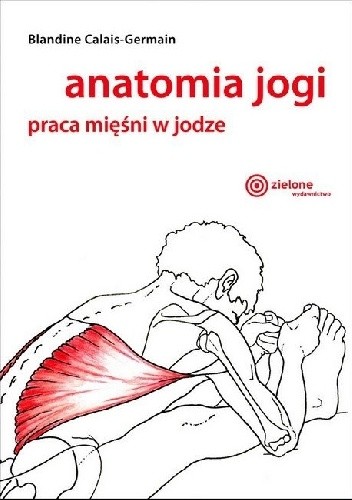 Anatomia jogi. Praca mięśni w jodze