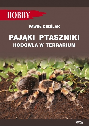 Pająki ptaszniki hodowla w terrarium
