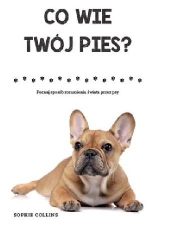 Co wie twój pies?