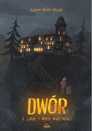 Liam i mapa wieczności. Dwór. Tom 1