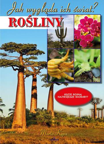 Rośliny jak wygląda ich świat