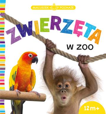 Zwierzęta w zoo maluszek poznaje