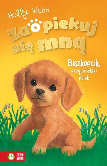 Biszkopcik, przyjacielski psiak. Zaopiekuj się mną