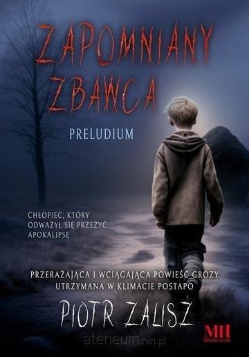 Okładka: Zapomniany Zbawca