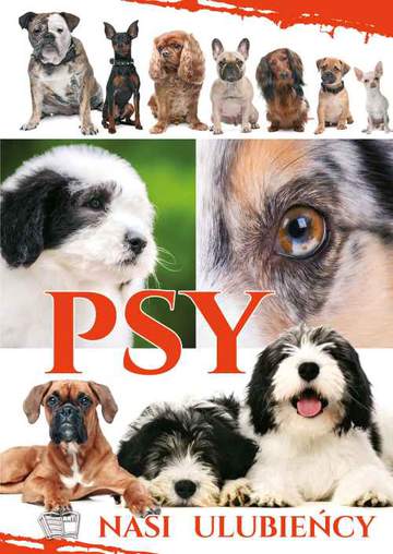 Psy nasi ulubieńcy