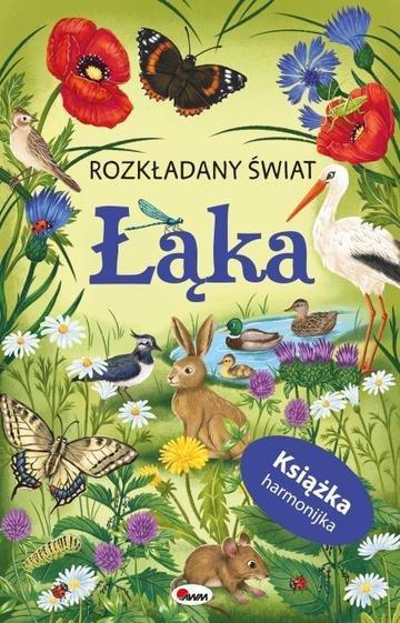 Okładka: Łąka. Rozkładany świat (książka harmonijka)