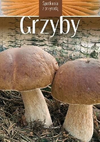 Grzyby