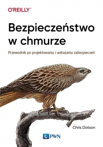 Bezpieczeństwo w chmurze. Przewodnik po projektowaniu i wdrażaniu zabezpieczeń