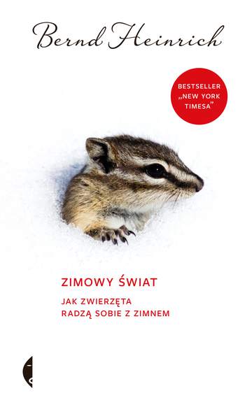Zimowy świat jak zwierzęta radzą sobie z zimnem