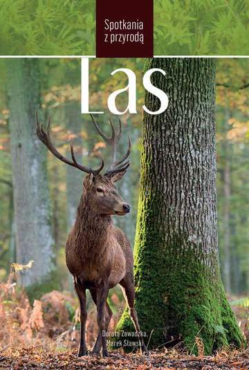 Las spotkania z przyrodą
