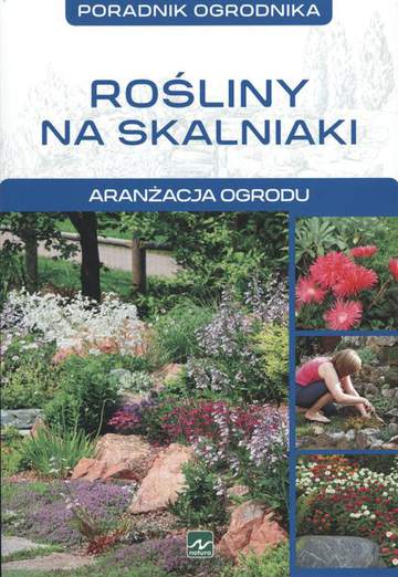 Rośliny na skalniaki aranżacja ogrodu poradnik ogrodnika