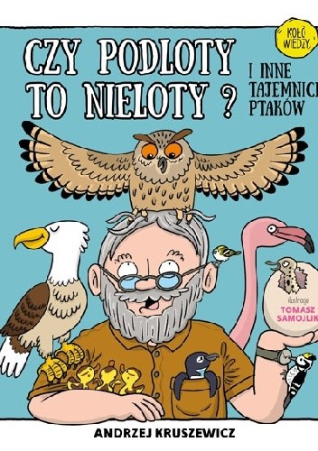 Czy podloty to nieloty i inne tajemnice ptaków