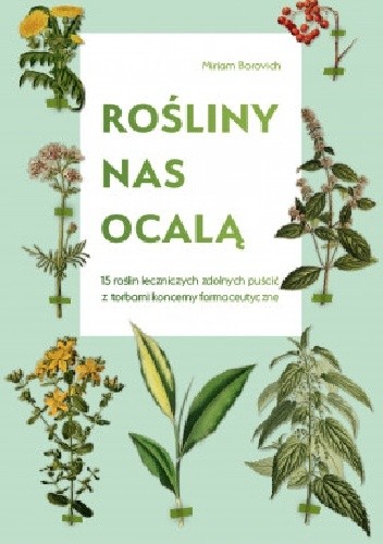 Rośliny nas ocalą 15 roślin leczniczych zdolnych puścić z torbami koncerny farmaceutyczne