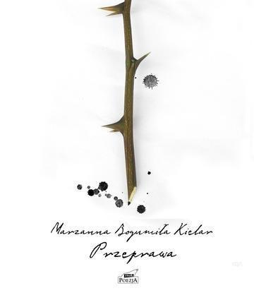 Okładka: Przeprawa