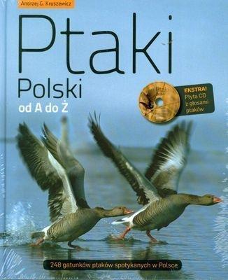 Okładka: Ptaki polski od a do z