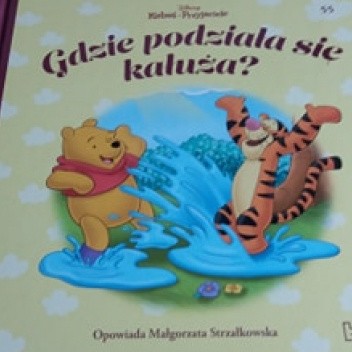 Gdzie podziała się kałuża?