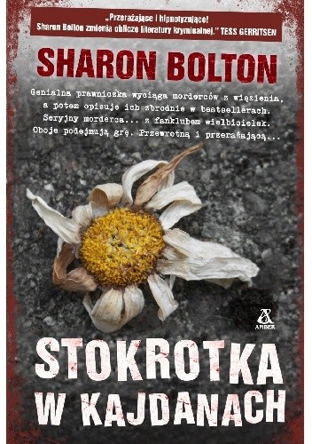 Stokrotka w kajdanach