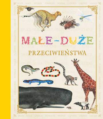 Małe duże przeciwieństwa