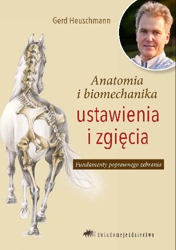 Anatomia i biomechanika ustawienia i zgięcia