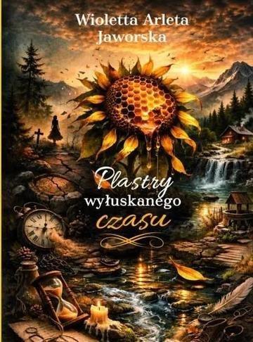 Okładka: Plastry wyłuskanego czasu
