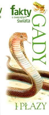 Gady i płazy fakty o zwierzętach świata