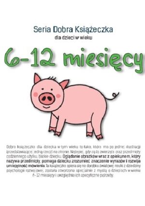 6-12 miesięcy