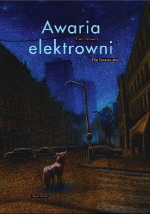 Awaria elektrowni