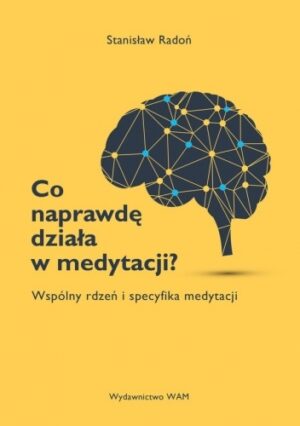 Co naprawdę działa w medytacji? Wspólny rdzeń i specyfika medytacji