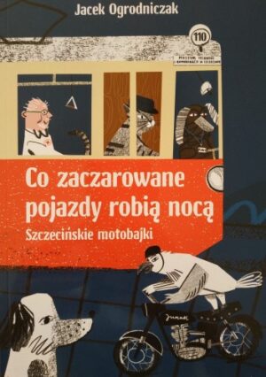 Co zaczarowane pojazdy robią nocą. Szczecińskie motobajki