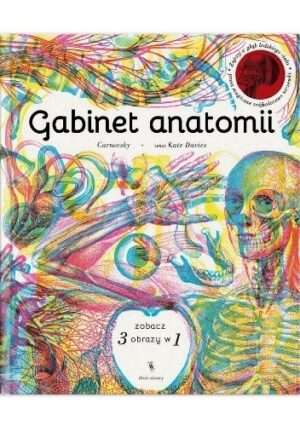 Gabinet anatomii