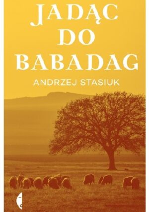 Jadąc do Babadag