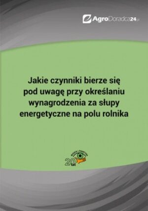 Jakie czynniki bierze się pod uwagę przy określaniu wynagrodzenia za słupy energetyczne na polu rolnika