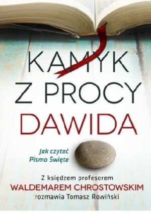 Kamyk z procy Dawida