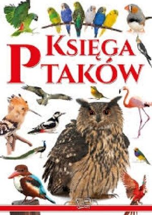 Księga ptaków