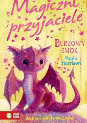 Magiczni przyjaciele. Burzowy smok