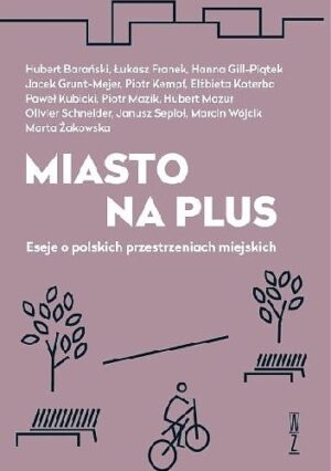 Miasto na plus. Eseje o polskich przestrzeniach miejskich