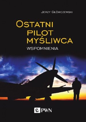 Ostatni pilot myśliwca