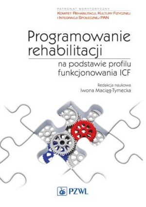 Programowanie rehabilitacji na podstawie profilu funkcjonowania ICF