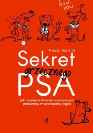 Sekret grzecznego psa. Jak rozwiązać dziesięć najczęstszych problemów w wychowaniu pupila