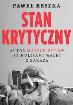 Stan krytyczny