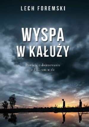 Wyspa w kałuży